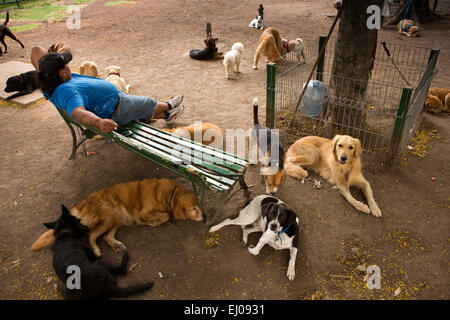 Argentina, Buenos Aires, Retiro, Plaza General San Martin, dog walker and dogs resting in park Stock Photo