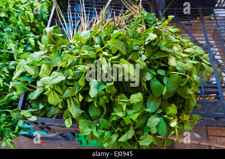 Mint leaves, for mint tea, Marche Central, Central market, Casablanca,  Morocco, northern Africa Stock Photo