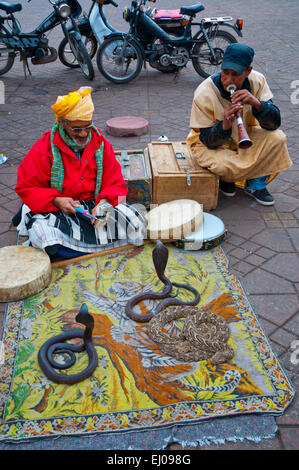 Snake charmers, Jemaa al Fnaa square, Medina, Marrakesh, Morocco, northern Africa Stock Photo