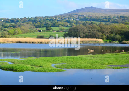 Wales, Great Britain, coast, Pembrokeshire, national park, Pembrokeshire Coast Path, Atlantic, Newport, bay, path, sea Stock Photo