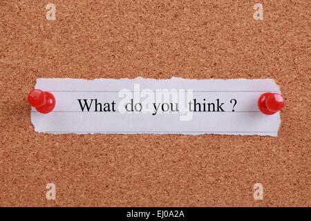 'What do you think?' note pinned on cork. Stock Photo