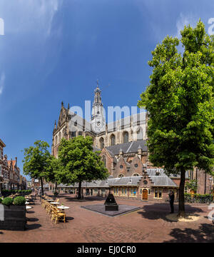 Haarlem, Netherlands, Holland, Europe, church, monastery, forest, wood, trees, summer, Saint Bavo, church Stock Photo