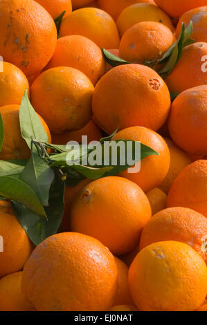 Fresh Oranges On a Market Stall La Marina Spain Stock Photo