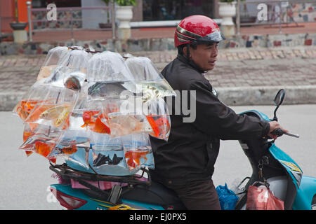 Ha Long, Hong Gai, Hon Gai, Hongay, Quang Ninh Province, Vietnam, SE Asia, South East Asia, mobile, scooter, vendor, sells, selli Stock Photo