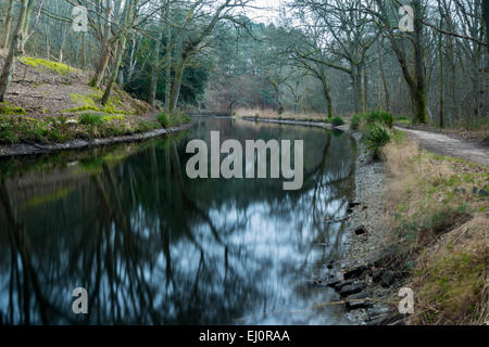 The Basingstoke Canal near Deepcut Surrey UK Stock Photo