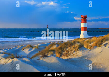 Germany, Europe, dune, dune grass, Helgoland, high seas, deep-sea  island, island, isle, island, isle, coast, coastal vegetation, Stock Photo