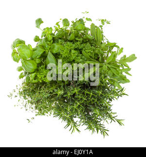Various kind of fresh herbs isolated on white background Stock Photo