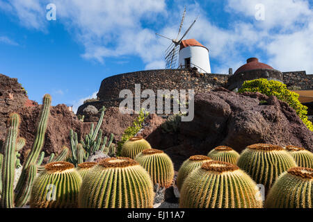 Guatiza, Spain, Europe, Canary islands, Lanzarote, park, cacti, windmill Stock Photo