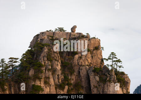 Huangshan, national park, China, Asia, province Anhui, UNESCO, world nature heritage, mountains, rocks, cliffs, fog, pines Stock Photo