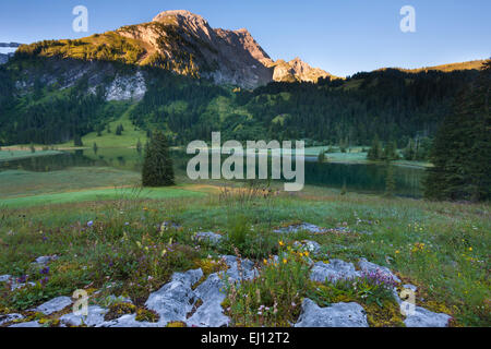 Lauenensee, Switzerland, Europe, canton Bern, Bernese  Oberland, Simmental, mountain lake, lake, morning light, rock, cliff, flow Stock Photo