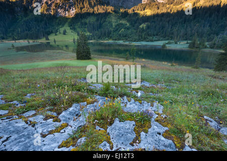 Lauenensee, Switzerland, Europe, canton Bern, Bernese  Oberland, Simmental, mountain lake, lake, morning light, rock, cliff, flow Stock Photo
