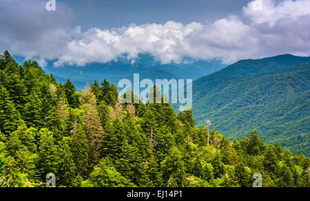 Dramatic view of the Appalachian Mountains from Newfound Gap Road, at Great Smoky Mountains National Park, Tennessee. Stock Photo