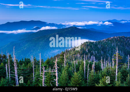 View of fog in the Smokies from Clingman's Dome Observation Tower, in Great Smoky Mountains National Park, Tennessee. Stock Photo