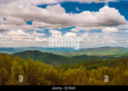 Early spring yellows and greens in Shenandoah National Park, seen from an overlook on Skyline Drive. Stock Photo