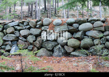 This unusual old fieldstone wall in Bar Harbor, Maine uses the rounded stones or 'cobbles' found on local beaches. Stock Photo
