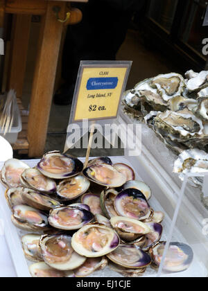 CLAMS Long Island New York (Cherrystone) clams on sale at Ferry Building Embarcadero San Francisco California USA Stock Photo