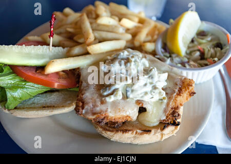 Fried Fish Sandwich Platter Stock Photo