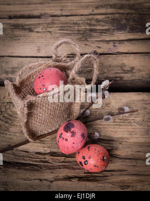 Easter eggs in the nest with gerbera daisy flowers Stock Photo