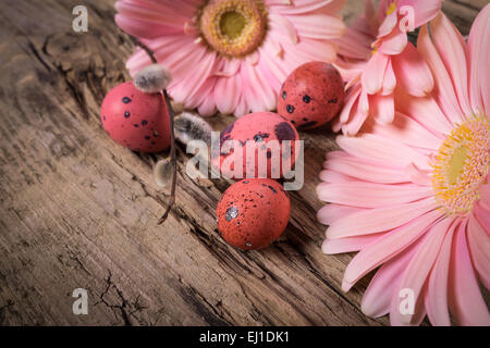 Easter eggs in the nest with gerbera daisy flowers Stock Photo