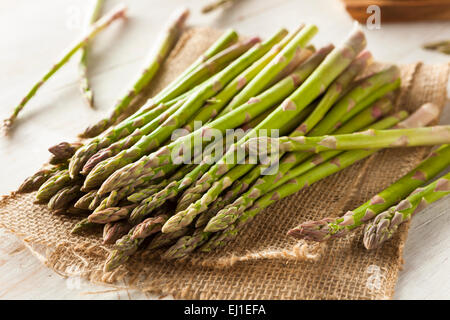 Organic Raw Green Asparagus Ready to Cook Stock Photo