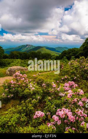 Old Rag Overlook from Skyline Drive Stock Photo - Alamy