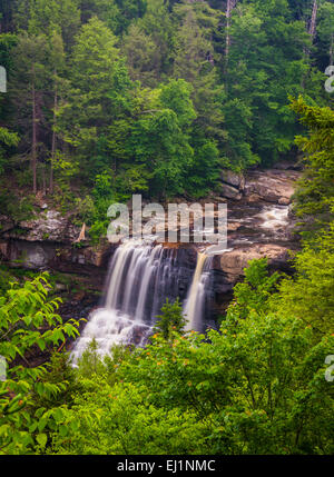 View of Blackwater Falls from the Gentle Trail, at Blackwater Falls