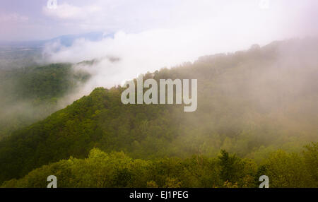 View of the Blue Ridge through fog and thick low clouds from Skyline Drive in Shenandoah National Park, Virginia. Stock Photo