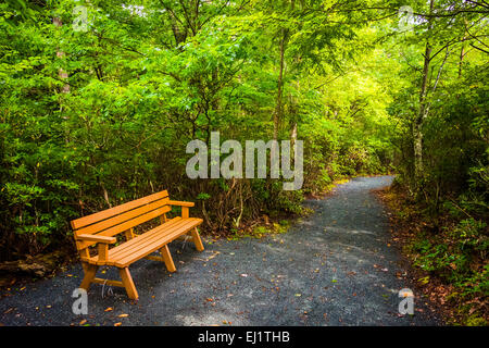 Bench on the Limberlost Trail, in Shenandoah National Park, Virginia. Stock Photo