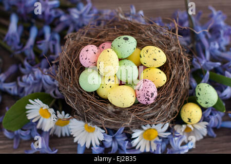 Easter eggs in a nest Stock Photo