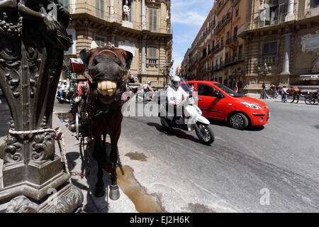 Palermo, Sicily. Quattro Canti, officially known as Piazza Vigliena, is a famous square in Palermo. Stock Photo