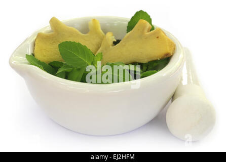 Medicinal herbs on mortar with pestle over white background Stock Photo