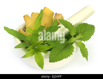 Medicinal herbs on mortar with pestle over white background Stock Photo