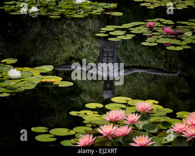 Waterlilies in pond with reflection of sculpture. Oregon Stock Photo