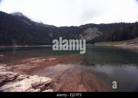 sunrise on the lake fog landscape nature Stock Photo