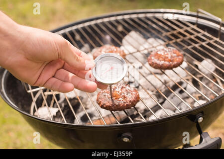 Thermometer food meat temperature hi-res stock photography and images -  Alamy