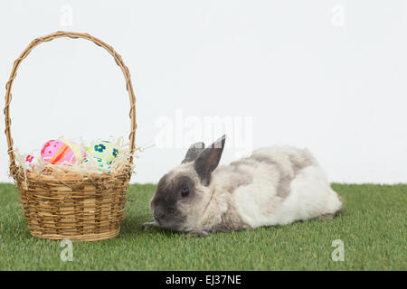 Easter rabbit with basket of eggs on grass Stock Photo