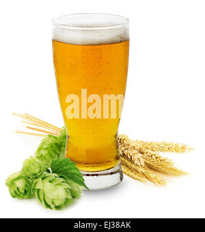 Glass of fresh Beer with green Hops and ears of barley isolated on the white background. Stock Photo