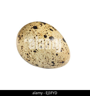 quail egg isolated on white cutout Stock Photo