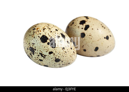 quail eggs isolated on white cutout Stock Photo