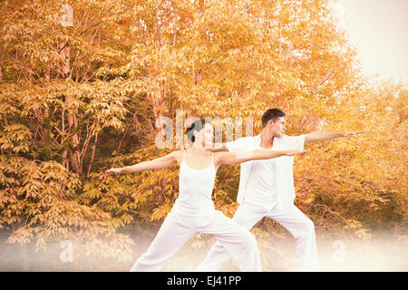 Young Couple Doing Warrior And Tree Yoga Poses On A Mat In A Park Fitness Outside Stock Photo Alamy