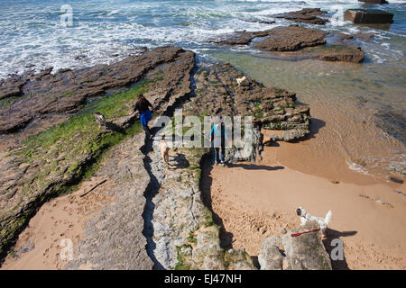Women walk their dogs on an ocean shore in Estoril, Portugal. Stock Photo