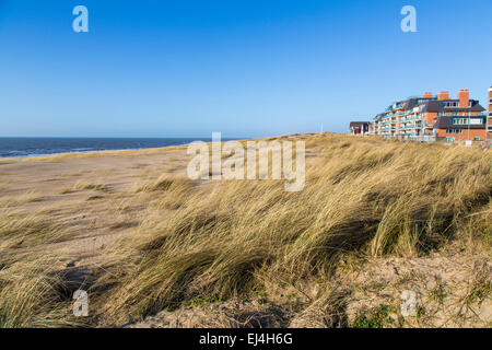 Egmond aan Zee, North Holland, Netherlands, North Sea coast, sand beaches, dunes, Stock Photo