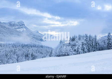 Mont Granier in winter time, Natural Parc of La Chartreuse, Savoie, Rhône-Alpes, France Stock Photo