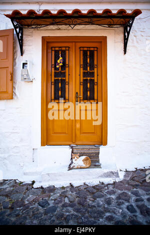 Cat resting outside house in Molyvos in Lesbos, Greece. Stock Photo