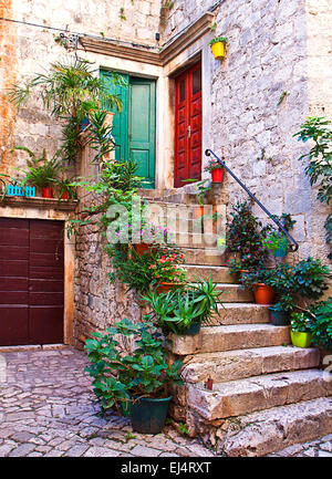 staircase full of plants and flowers leads to a Dalmatian house made of white stone blocks Stock Photo