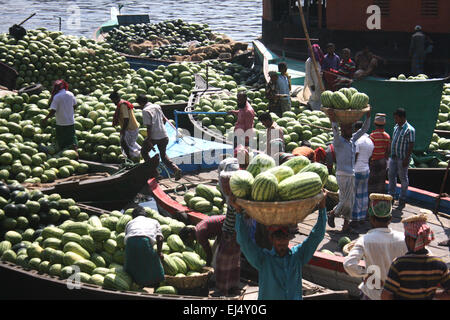 Workers unload watermelons from the boats at Sadarghat for selling in Dhaka, Bangladesh. March 21, 2015 Bumper production of watermelon in Bangladesh this season. Experts have said that the good quality watermelons were a bumper harvest this year owing to favoring weather and improved farming in Bangladesh. Stock Photo
