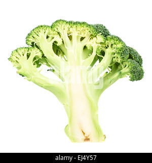 Green broccoli sliced in cutaway isolated Stock Photo