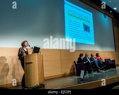 Paris, France, French Health Specialists, at Minister Meeting on Sexually Transmitted Diseases, Public speaker giving talk, Lawyer giving Slide Presentation, scientists meeting slides, experts, speaking public, public health challenges Stock Photo