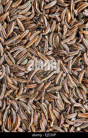 close-up on cumin - background of spices - liquid effect Stock Photo