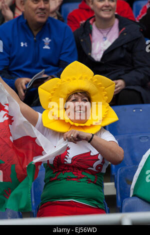 Welsh cheap daffodil hat